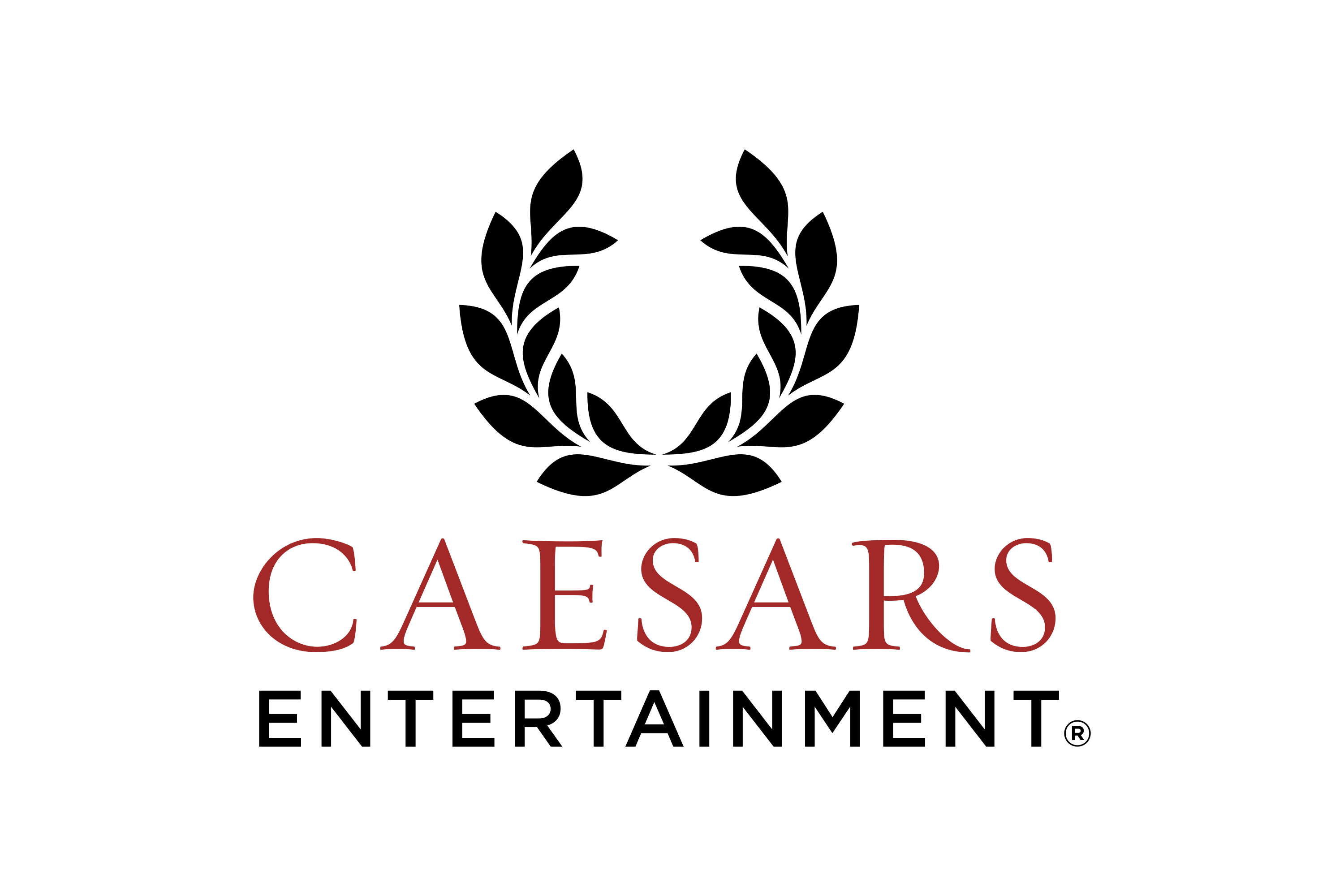 Caesars Loyalty Data